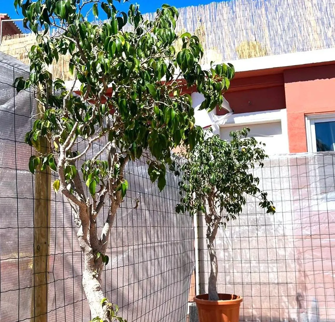 Apartamento Leyda En Marbella Apartment